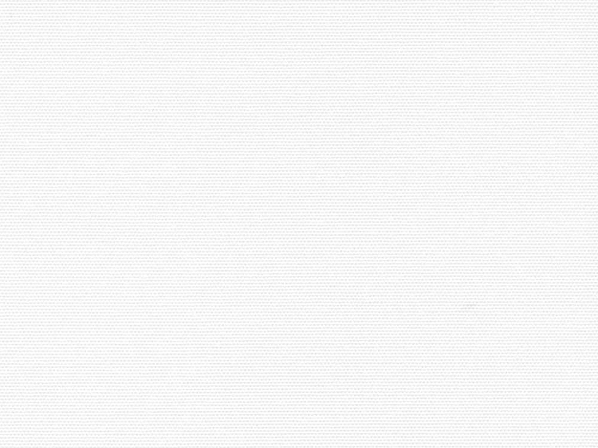 Ткань для рулонных штор Benone 7565 - изображение 1 - заказать онлайн в салоне штор Benone в Раменском